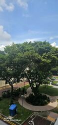 Blk 768 Pasir Ris Street 71 (Pasir Ris), HDB 4 Rooms #587983221
